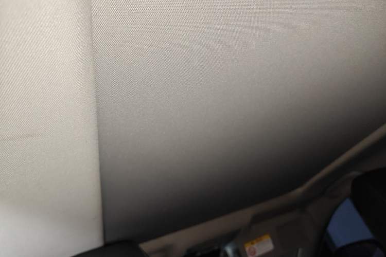 Used Toyota RAV4 2020 Dual-Motor 2.5L E-CVT Four-Wheel Drive Flagship Edition Headliner