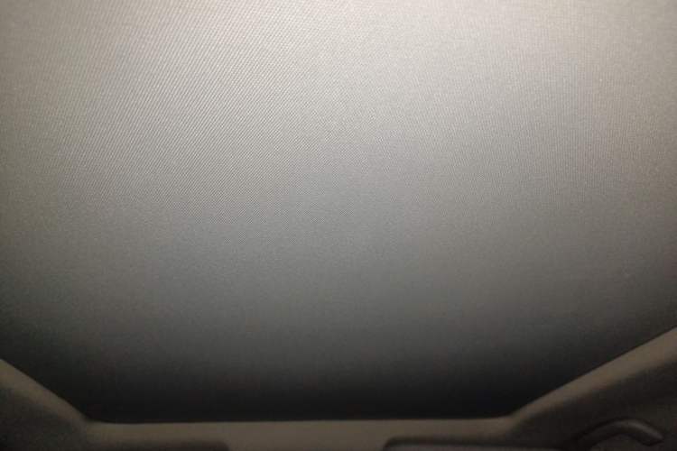 Used Toyota RAV4 2020 2.0L CVT Two-Wheel Drive Prestige Edition Headliner