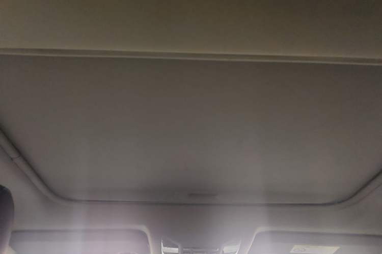 Used Toyota RAV4 2020 2.0L CVT Two-Wheel Drive Fashion PLUS Edition Headliner