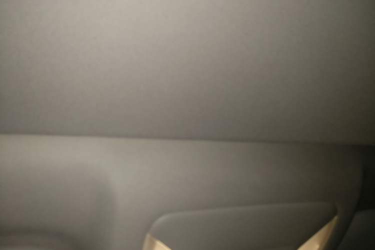 Used Toyota RAV4 2020 2.0L CVT Four-Wheel Drive Prestige Edition Headliner