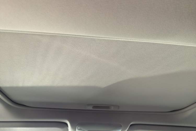 Used Toyota RAV4 2020 2.0L CVT Two-Wheel Drive Fashion PLUS Edition Headliner