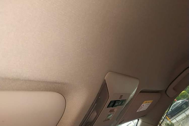 Used Toyota RAV4 2020 2.0L CVT Two-Wheel Drive Urban Edition Headliner