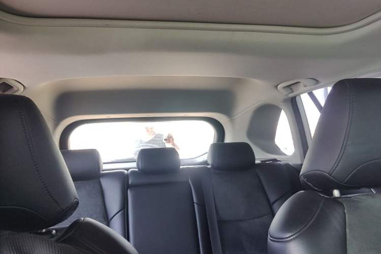 Used Toyota RAV4 2020 2.0L CVT Two-Wheel Drive Fashion Edition Headliner