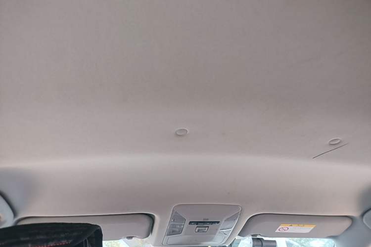 Used Toyota RAV4 2020 2.0L CVT Two-Wheel Drive Urban Edition Headliner