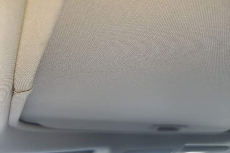 Used Toyota RAV4 2020 2.0L CVT 4x4 Style PLUS Edition Headliner