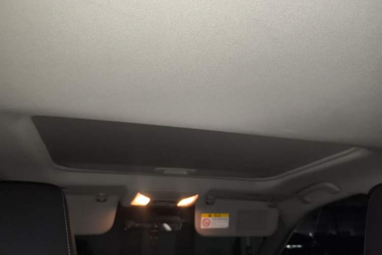 Used Toyota RAV4 2020 2.0L CVT 4x4 Style PLUS Edition Headliner