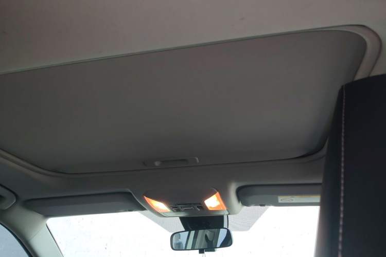 Used Toyota RAV4 2020 2.0L CVT Two-Wheel Drive Fashion PLUS Edition Headliner