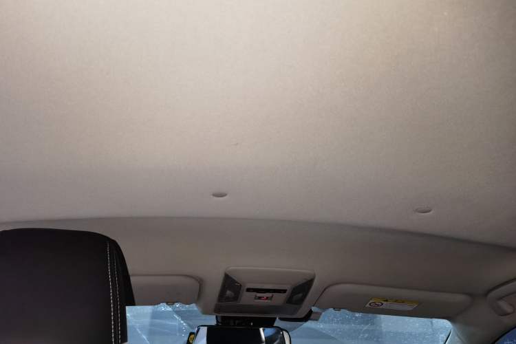 Used Toyota RAV4 2020 2.0L CVT Two-Wheel Drive Urban Edition Headliner
