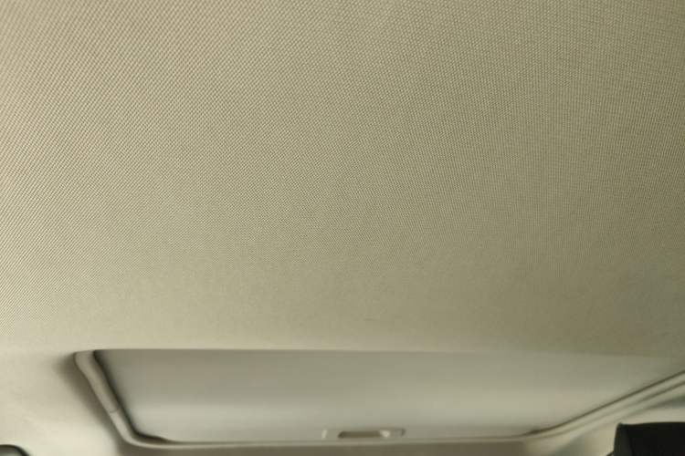 Used Toyota RAV4 2020 2.0L CVT Two-Wheel Drive Fashion PLUS Edition Headliner