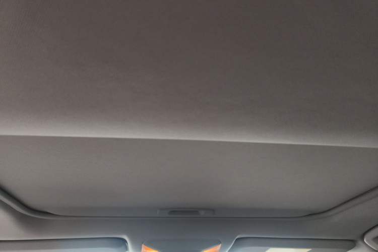 Used Toyota RAV4 2020 Dual-Engine 2.5L E-CVT 4x4 Elite PLUS Edition Headliner