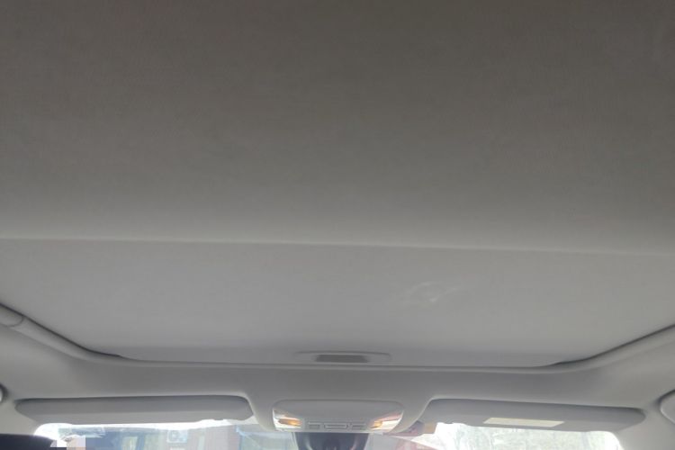 Used Toyota RAV4 2020 2.0L CVT Two-Wheel Drive Fashion PLUS Edition Headliner