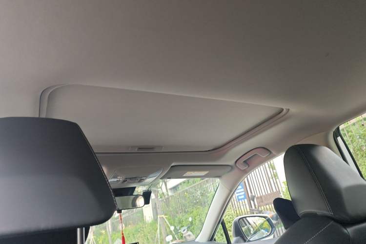Used Toyota RAV4 2020 2.0L CVT Two-Wheel Drive Fashion PLUS Edition Headliner