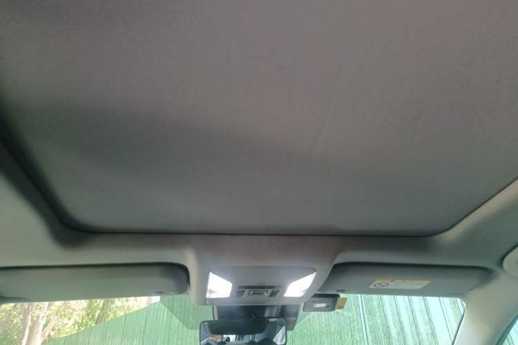 Used Toyota RAV4 2020 Dual-Motor 2.5L E-CVT Four-Wheel Drive Flagship Edition Headliner