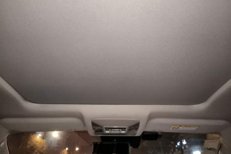 Used Toyota RAV4 2020 Dual-Motor 2.5L E-CVT Four-Wheel Drive Flagship Edition Headliner