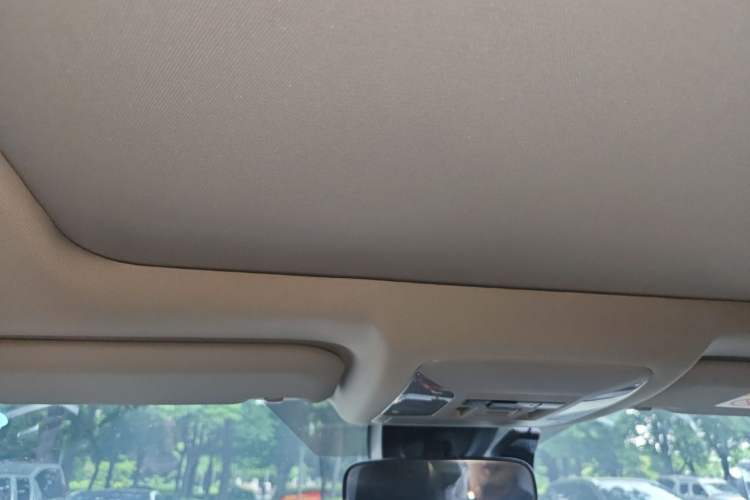 Used Toyota RAV4 2020 2.0L CVT Four-Wheel Drive Prestige Edition Headliner