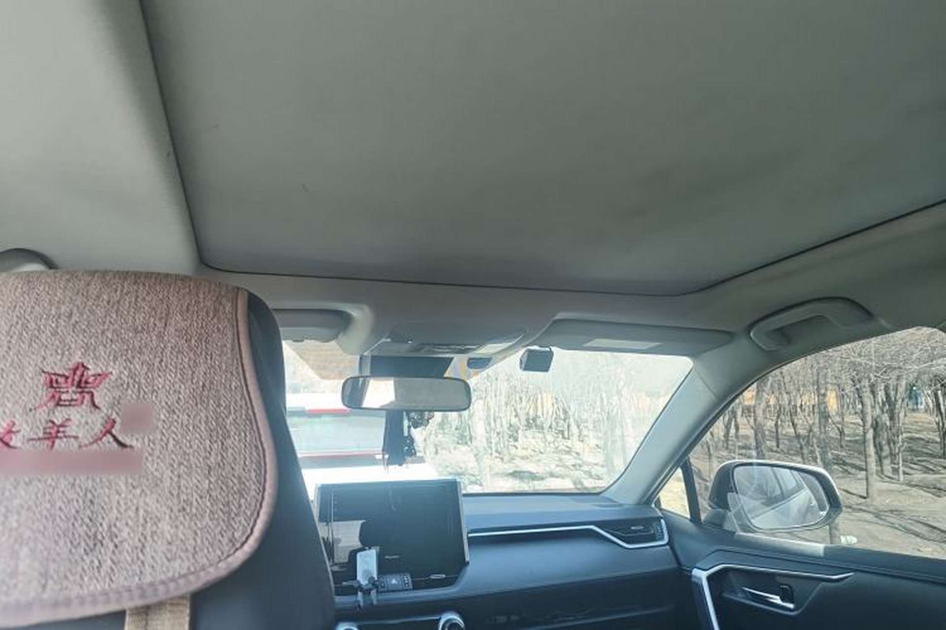 Used Toyota RAV4 2020 2.0L CVT Two-Wheel Drive Prestige Edition Headliner
