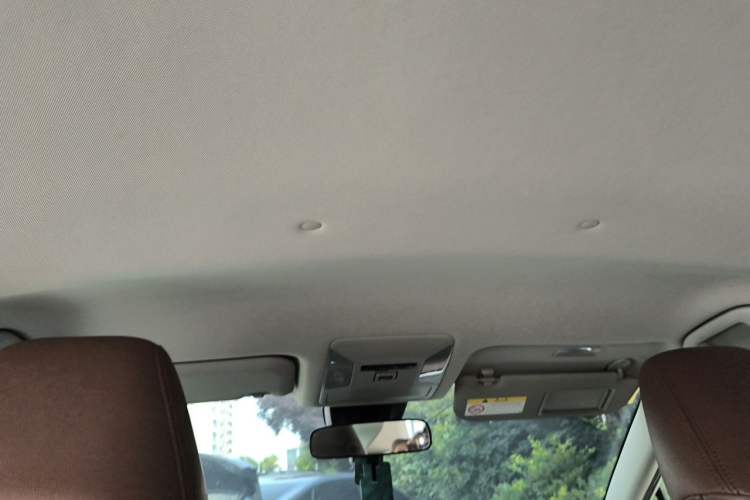 Used Toyota RAV4 2020 2.0L CVT Two-Wheel Drive Urban Edition Headliner