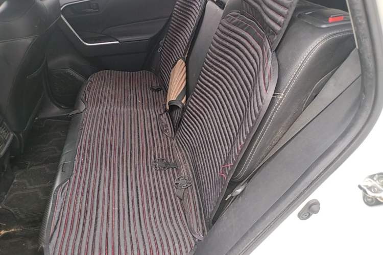 Used Toyota RAV4 2020 2.0L CVT Two-Wheel Drive Urban Edition Left Rear Seat