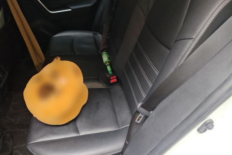 Used Toyota RAV4 2020 2.0L CVT Two-Wheel Drive Fashion PLUS Edition Left Rear Seat
