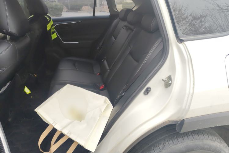 Used Toyota RAV4 2020 2.0L CVT Two-Wheel Drive Urban Edition Left Rear Seat