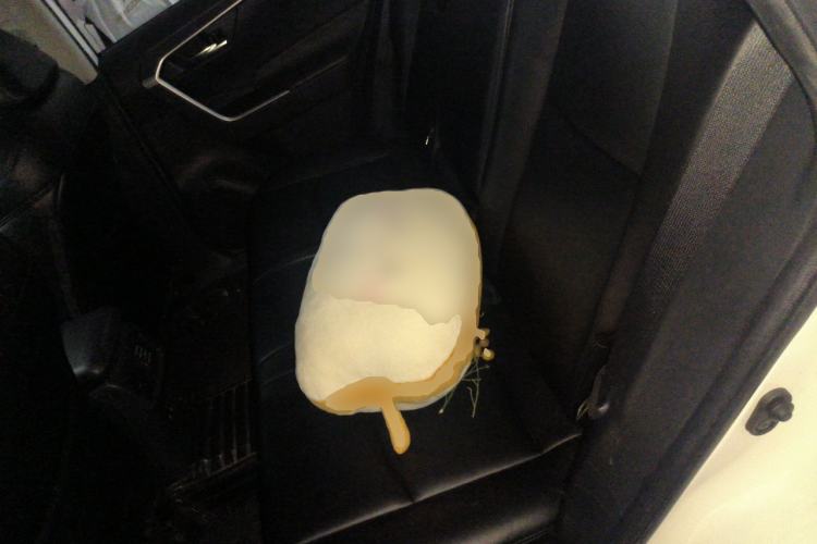 Used Toyota RAV4 2020 2.0L CVT 4x4 Trend Edition Left Rear Seat