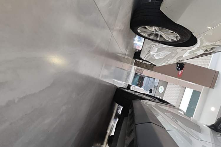 Used Toyota RAV4 2020 2.0L CVT Two-Wheel Drive Fashion PLUS Edition Left Side Sill