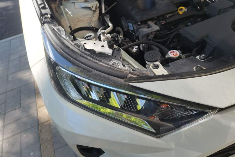 Used Toyota RAV4 2020 2.0L CVT Two-Wheel Drive Urban Edition Right Front Headlight