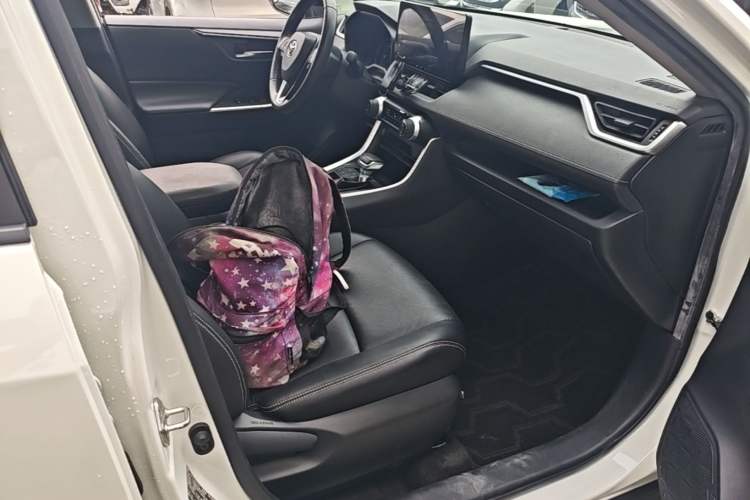 Used Toyota RAV4 2020 Dual-Engine 2.5L E-CVT Two-Wheel Drive Elite Edition Right Front Seat