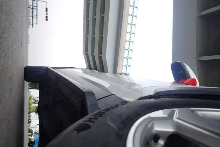 Used Toyota RAV4 2020 2.0L CVT Two-Wheel Drive Fashion Edition Right Side Sill