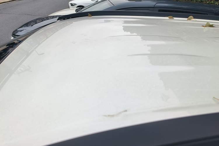 Used Toyota RAV4 2020 2.0L CVT Two-Wheel Drive Urban Edition Roof