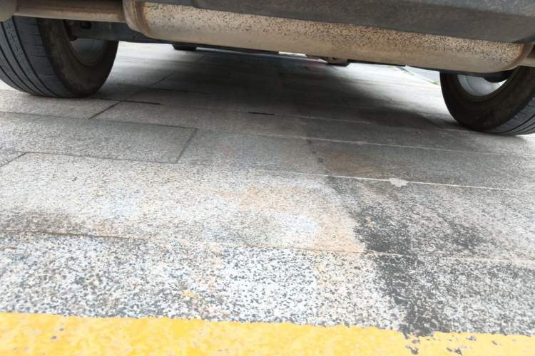 Used Toyota RAV4 2021 2.0L CVT Two-Wheel Drive Urban Edition Chassis Rear