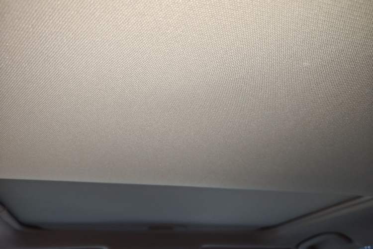 Used Toyota RAV4 2021 2.0L CVT Two-Wheel Drive Fashion PLUS Edition Headliner