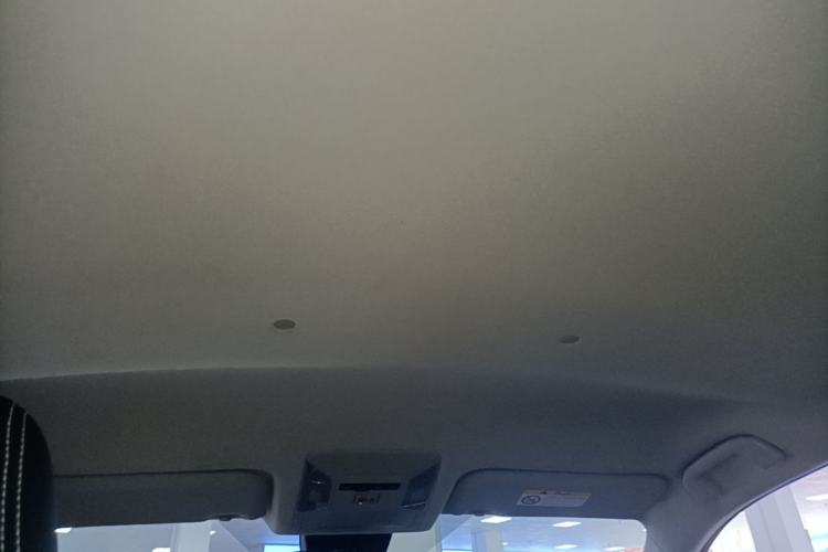 Used Toyota RAV4 2021 2.0L CVT Two-Wheel Drive Urban Edition Headliner