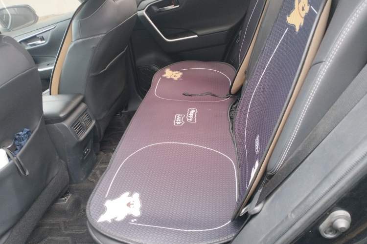 Used Toyota RAV4 2021 2.0L CVT Two-Wheel Drive Fashion PLUS Edition Left Rear Seat