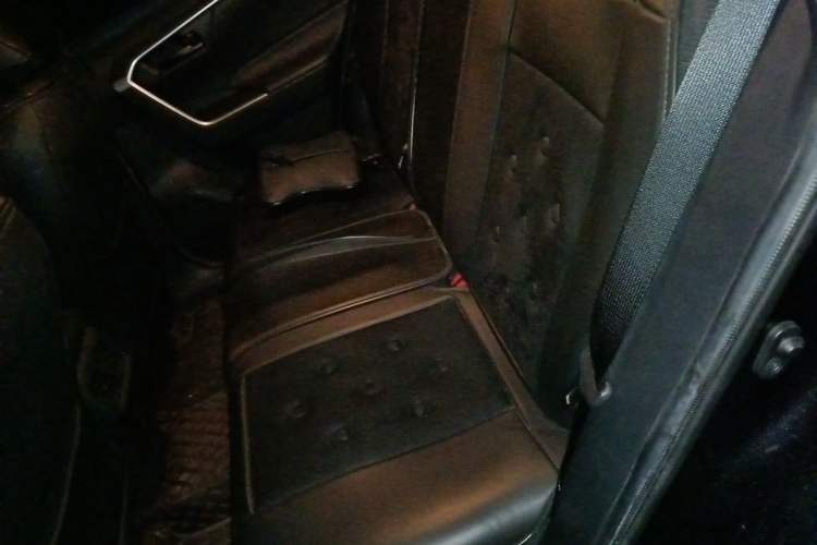 Used Toyota RAV4 2021 2.0L CVT Two-Wheel Drive Urban Edition Left Rear Seat