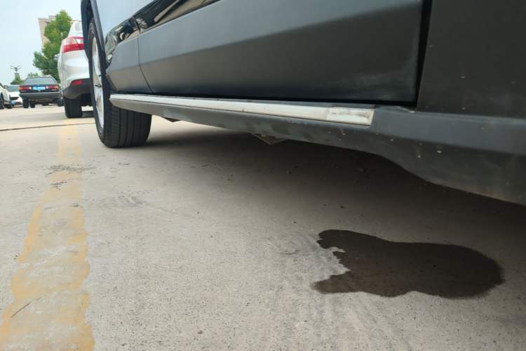 Used Toyota RAV4 2021 2.0L CVT Two-Wheel Drive Fashion PLUS Edition Right Side Sill