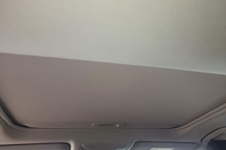 Used Toyota RAV4 2021 2.0L CVT Two-Wheel Drive Fashion PLUS Edition Headliner