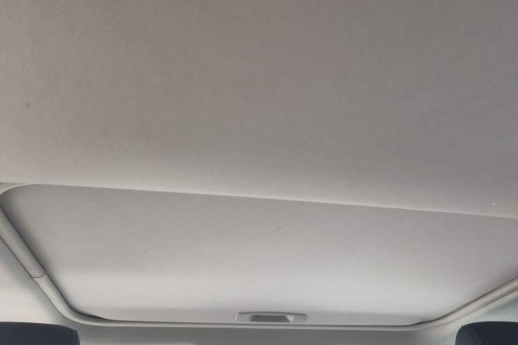 Used Toyota RAV4 2021 2.0L CVT 4x4 Style PLUS Edition Headliner