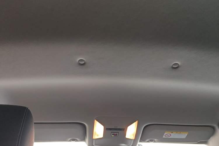 Used Toyota RAV4 2021 2.0L CVT Two-Wheel Drive Urban Edition Headliner