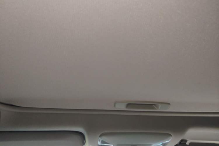 Used Toyota RAV4 2021 2.0L CVT Two-Wheel Drive Fashion PLUS Edition Headliner