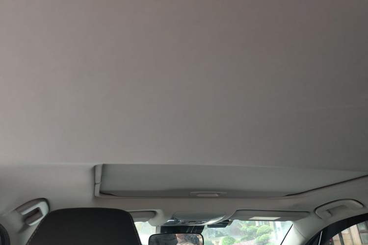 Used Toyota RAV4 2021 Dual-Engine 2.5L E-CVT Four-Wheel Drive Elite PLUS Edition Headliner