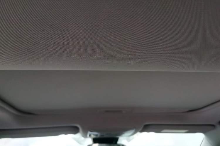 Used Toyota RAV4 2021 2.0L CVT Two-Wheel Drive Fashion Edition Headliner
