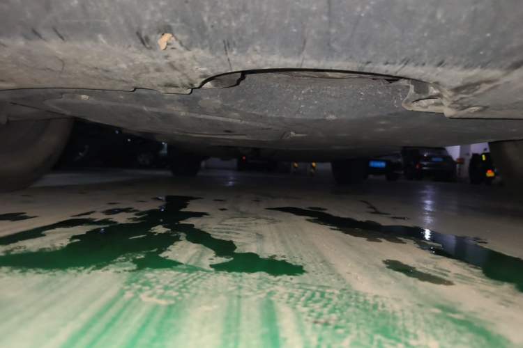 Used Toyota RAV4 2021 2.0L CVT Two-Wheel Drive Fashion PLUS Edition Chassis Front