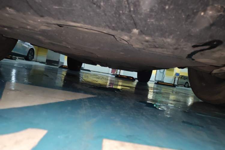 Used Toyota RAV4 2021 2.0L CVT Two-Wheel Drive Fashion PLUS Edition Chassis Front