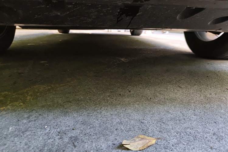 Used Toyota RAV4 2021 2.0L CVT Two-Wheel Drive Fashion PLUS Edition Chassis Front
