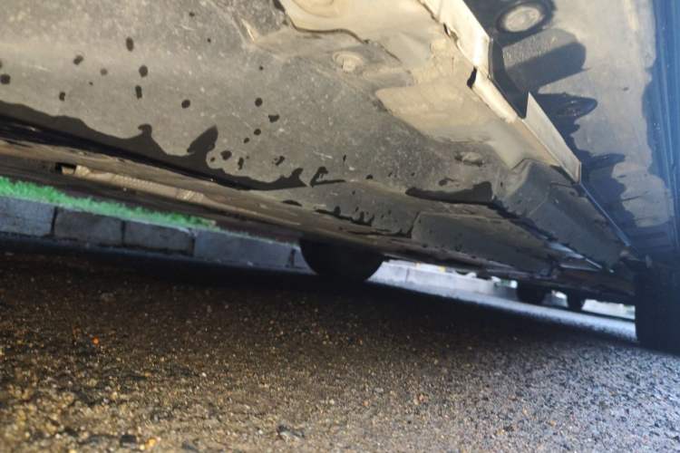 Used Toyota RAV4 2021 2.0L CVT Two-Wheel Drive Fashion PLUS Edition Chassis Rear Right