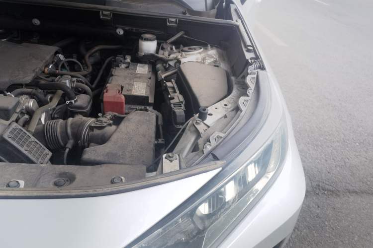 Used Toyota RAV4 2021 2.0L CVT 4x4 Trend Edition Engine Bay Left