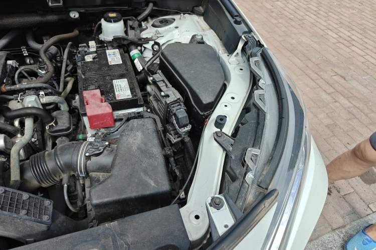 Used Toyota RAV4 2021 2.0L CVT Two-Wheel Drive Fashion PLUS Edition Engine Bay Left