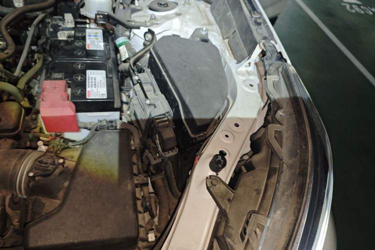 Used Toyota RAV4 2021 2.0L CVT 4x4 Style PLUS Edition Engine Bay Left