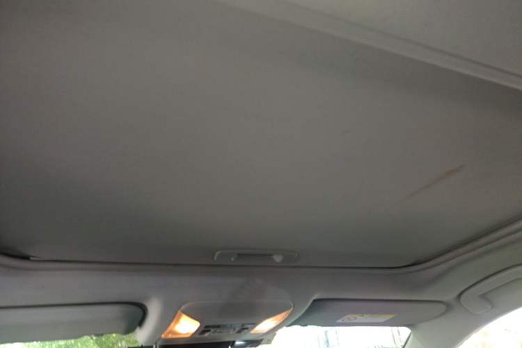 Used Toyota RAV4 2021 2.0L CVT Two-Wheel Drive Fashion PLUS Edition Headliner